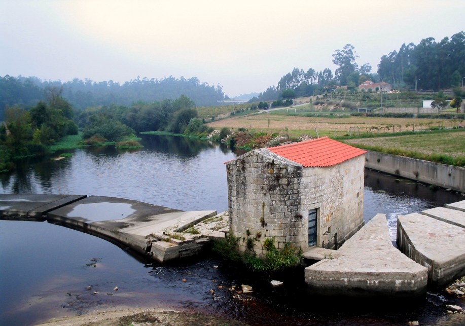 2011-09-15 - Rio Ave junto à ponte D. Zameiro - António Oliveira