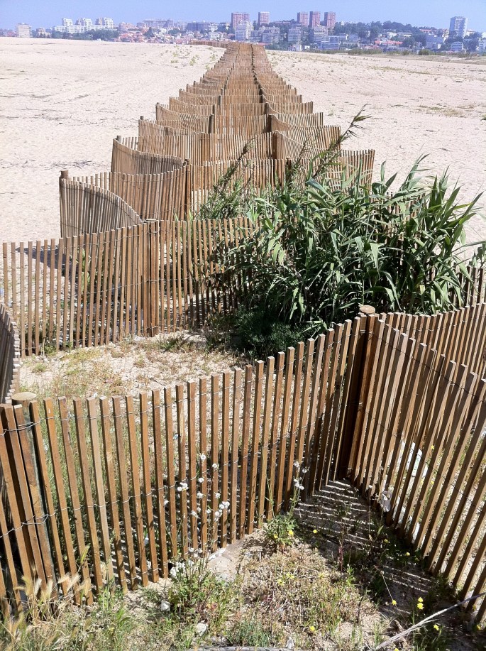 Cabedelo - Gaia - Vítor