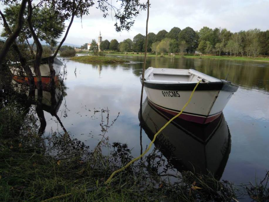 2013-10-27 - Rio Lima - Mário Dantas