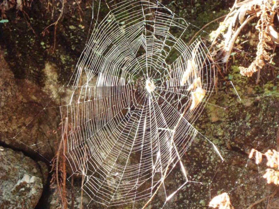 2013-10-05 - Teia dos Conquistadores - Jorge Oliveira