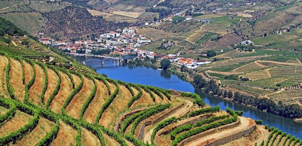 Douro-Vinhateiro