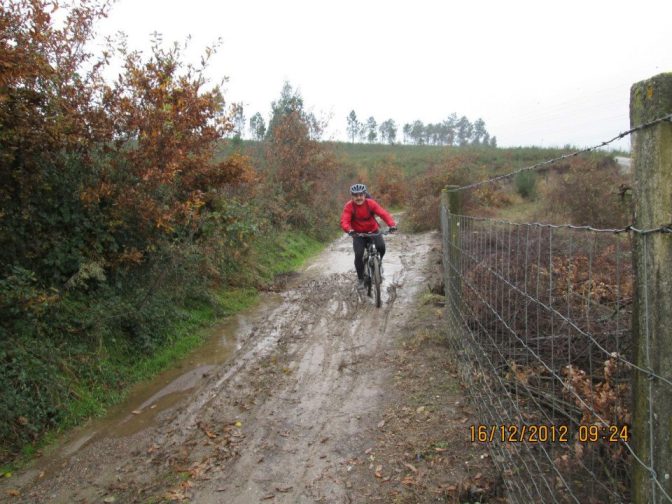 148617_447149768678451_1480195240_n