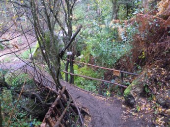 3454_3413737402660_1970454039_n