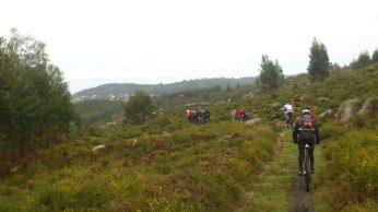 530894_406547566084460_541889238_n