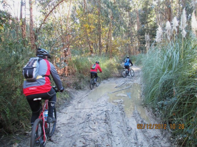 559941_442259509167477_1577049394_n