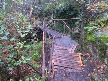 602375_3413736402635_999430087_n