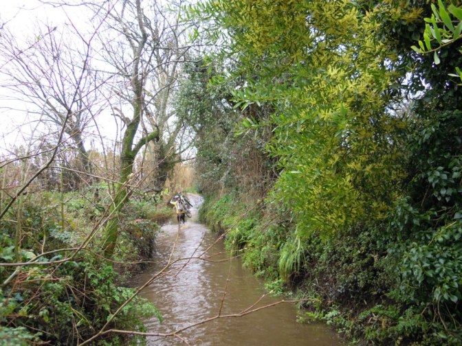 59772_3776830199753_1112016744_n