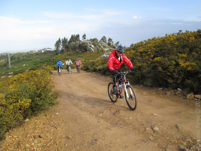 166742_537296829626224_790036782_n