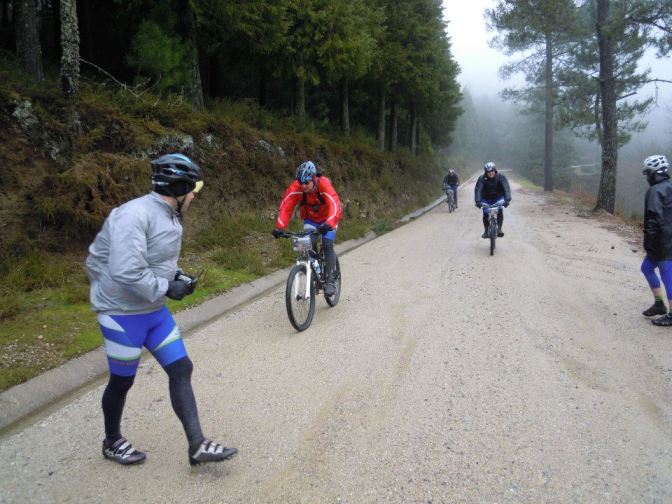 536388_3979138257328_119222529_n