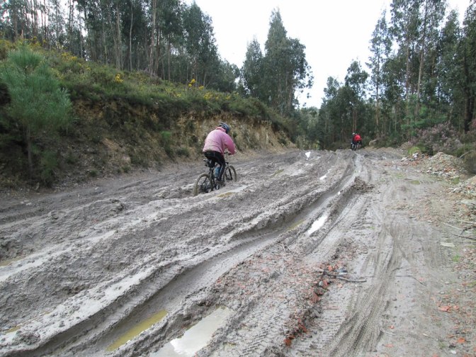 580729_537297812959459_154608537_n