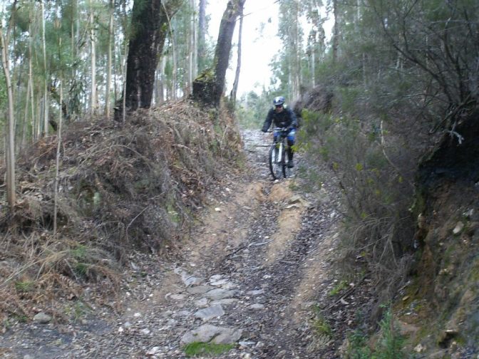 733987_449549168449076_282744613_n