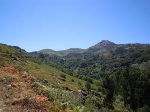 1004830_4619507466158_1062212945_n