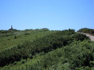 1157703_4619523826567_1607995342_n