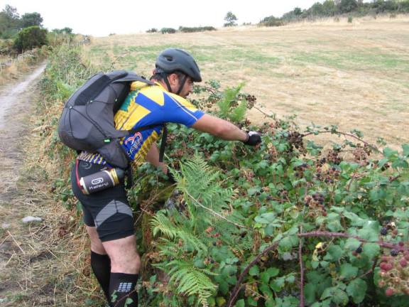 1236908_553512221368563_699903033_n