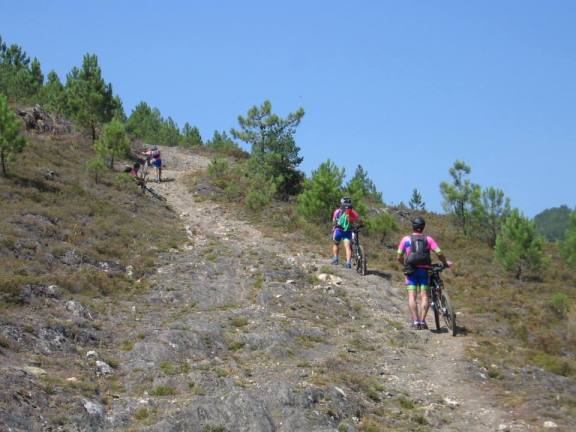 969926_553506478035804_1753068028_n