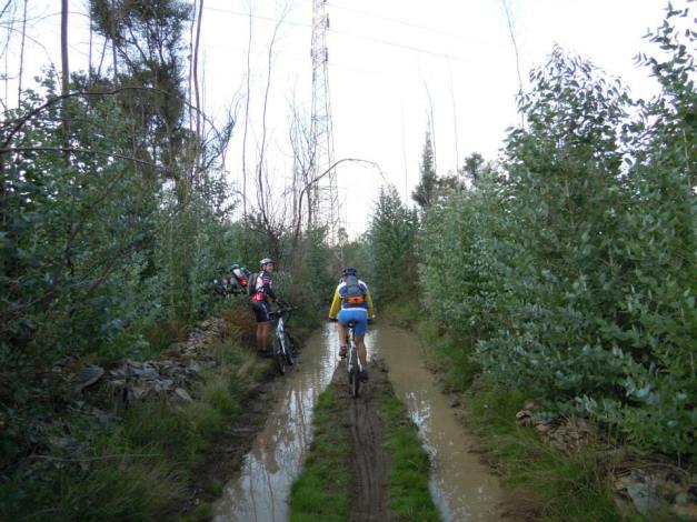 Navegando sem remos...