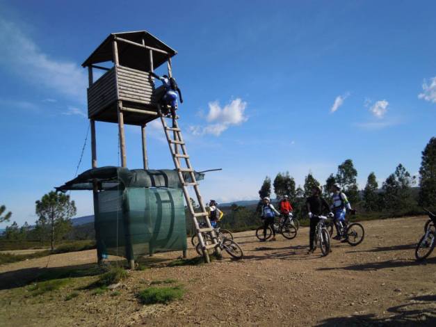 Trepando e brincando...