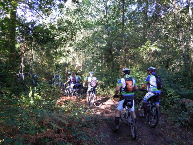 Desbravando terreno...