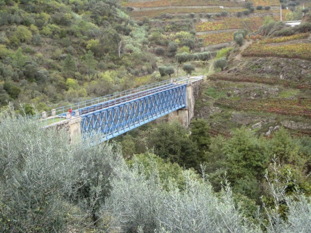 5PasseioDouroVinhateiro_003
