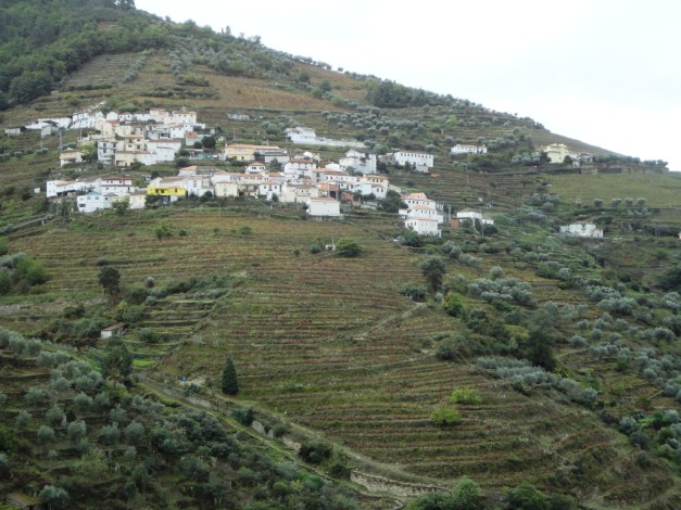 5PasseioDouroVinhateiro_055