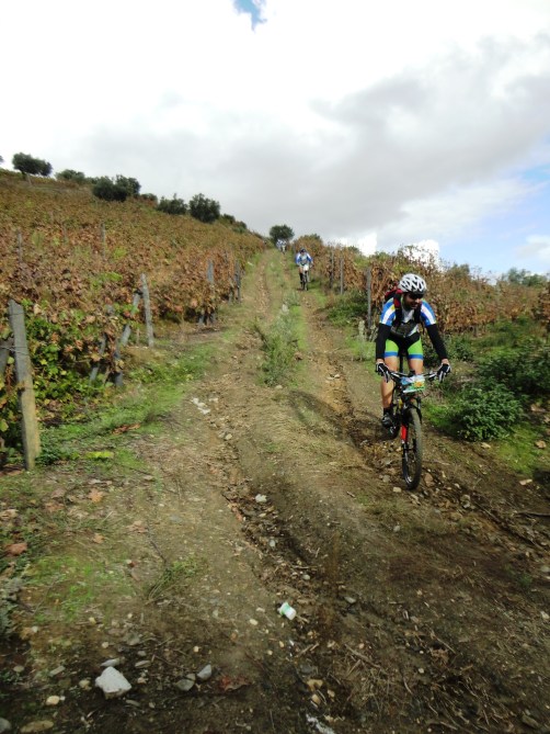 5PasseioDouroVinhateiro_186