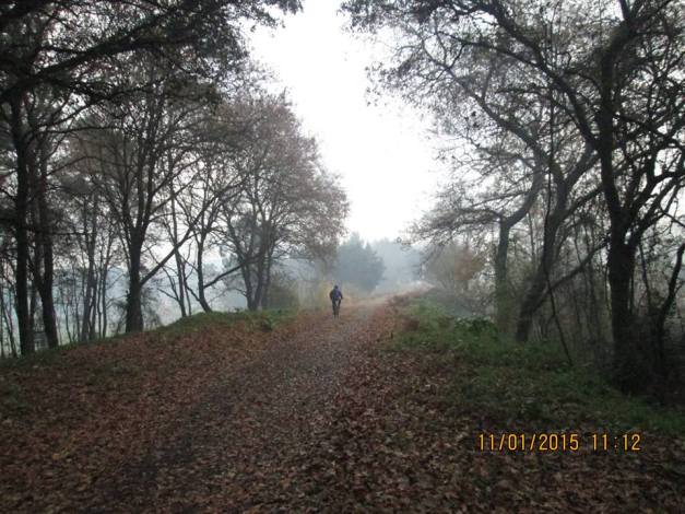 10898058_830243333702424_7475160845679617267_n