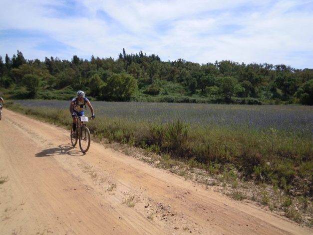 11255761_10202875558770458_5091389113562542447_n