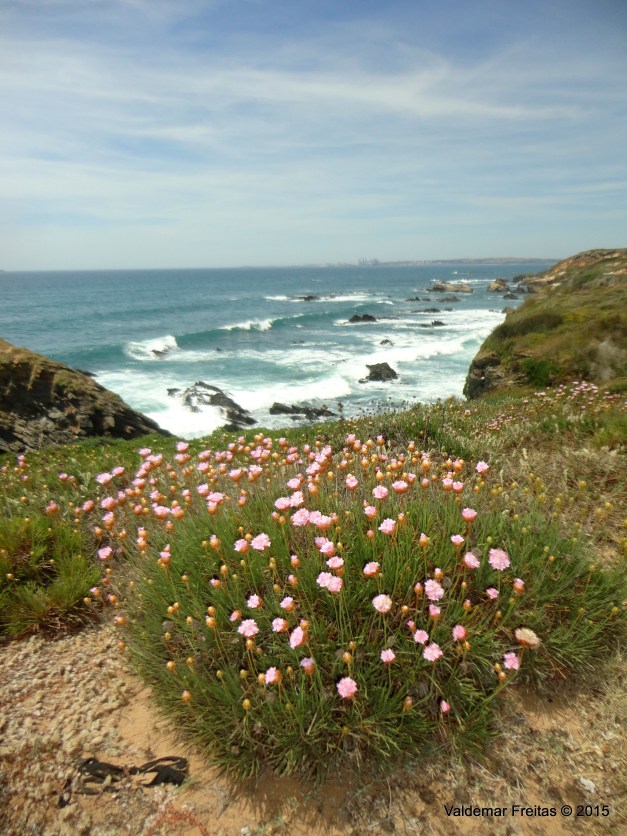 RaidAlvaladePortoCovoAlvalade_079